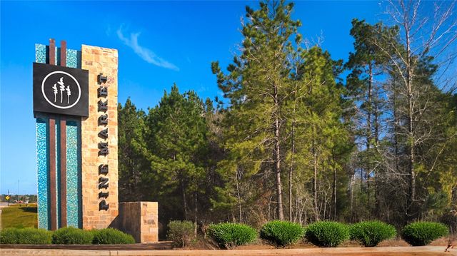 523 Caverna Street, Montgomery, TX 77316