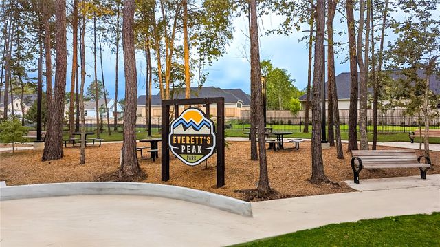 523 Caverna Street, Montgomery, TX 77316