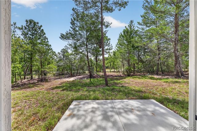 10260 N Spaulding Drive, Citrus Springs, FL 34433