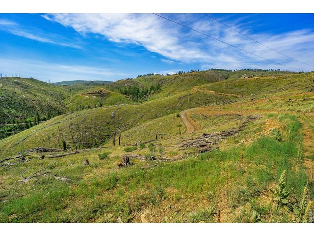 1600 Whale Rock Rd, Bellvue, CO 80512