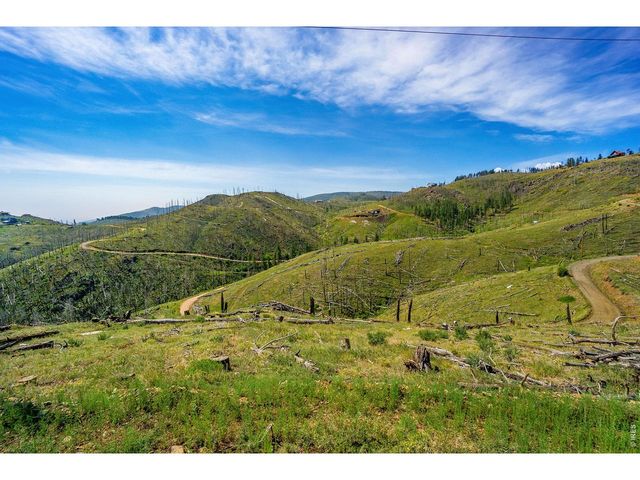 1600 Whale Rock Rd, Bellvue, CO 80512