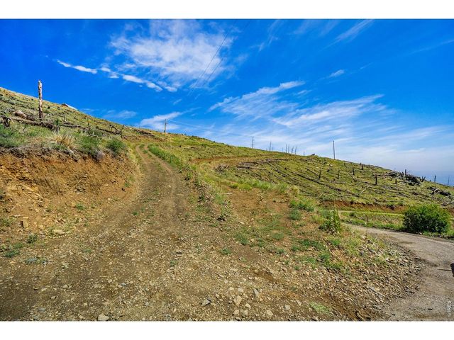 1600 Whale Rock Rd, Bellvue, CO 80512