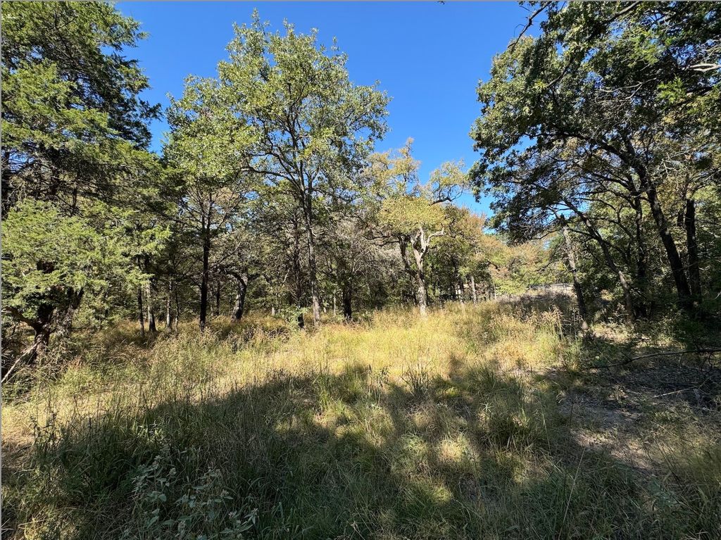 TBD 10 ACRES NW County Road 3055, Purdon, TX 76679