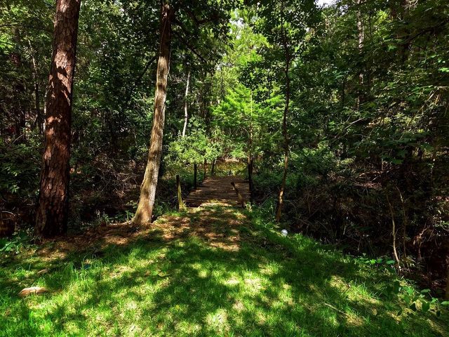 18839 Mink Lake Drive, Magnolia, TX 77355