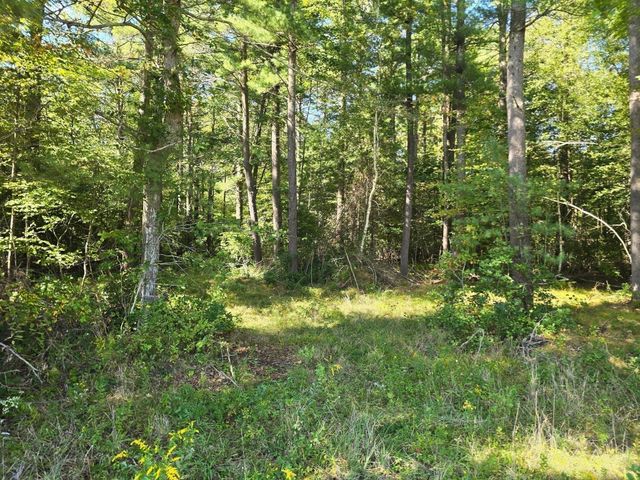 Lot 1 Montgomery Street, Lakeville, MA 02347