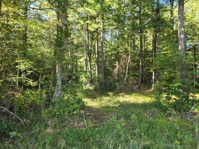 Lot 1 Montgomery Street, Lakeville, MA 02347