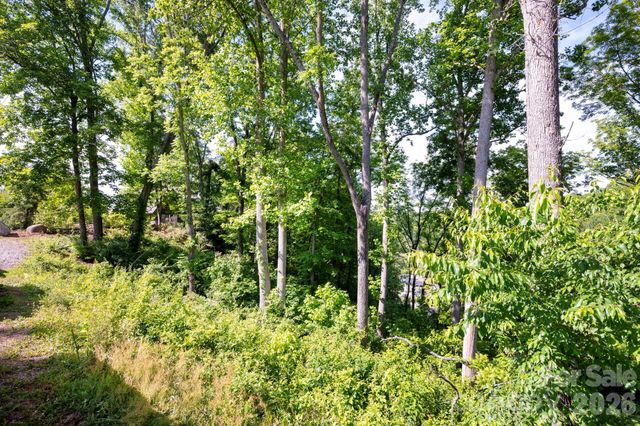 17 Tulip Poplar Trail 30, Asheville, NC 28804