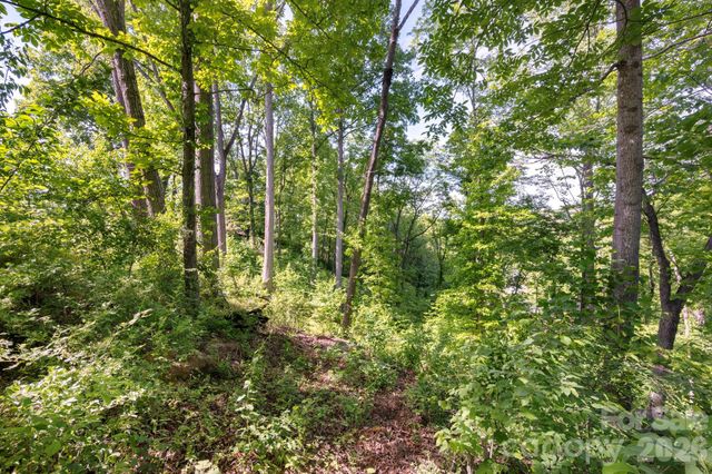 17 Tulip Poplar Trail 30, Asheville, NC 28804