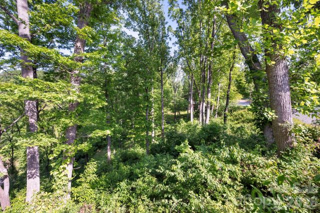 17 Tulip Poplar Trail 30, Asheville, NC 28804