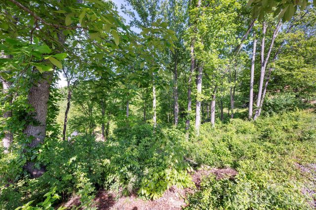 17 Tulip Poplar Trail 30, Asheville, NC 28804