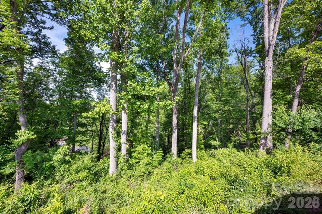 17 Tulip Poplar Trail 30, Asheville, NC 28804