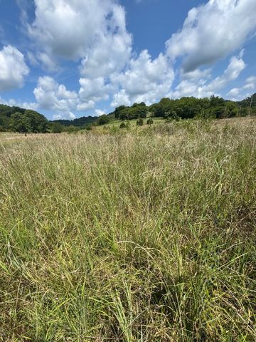 0 Duke Hollow Ln, Carthage, TN 37030