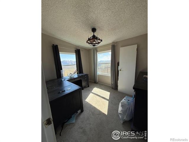 1049 Hewlett Gulch Road, Livermore, CO 80536