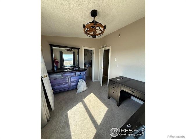 1049 Hewlett Gulch Road, Livermore, CO 80536