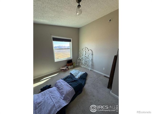 1049 Hewlett Gulch Road, Livermore, CO 80536