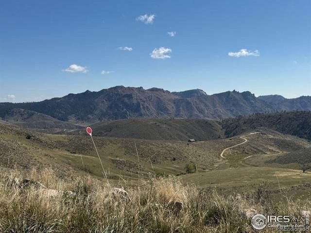 1049 Hewlett Gulch Road, Livermore, CO 80536
