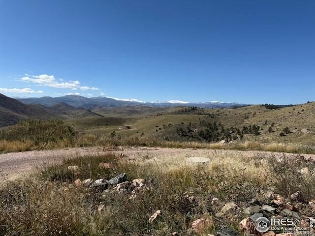 1049 Hewlett Gulch Road, Livermore, CO 80536