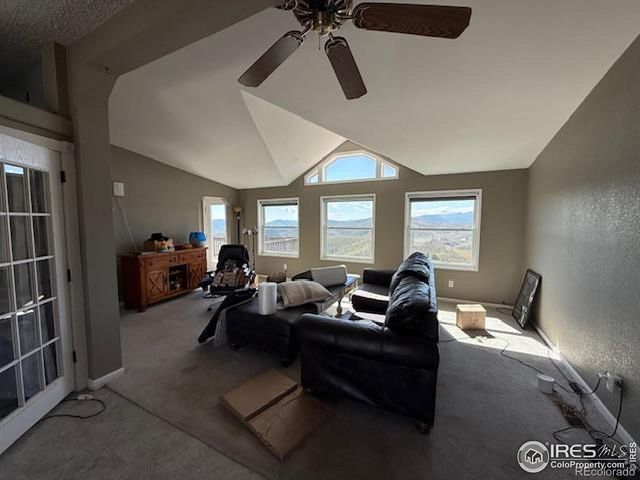 1049 Hewlett Gulch Road, Livermore, CO 80536