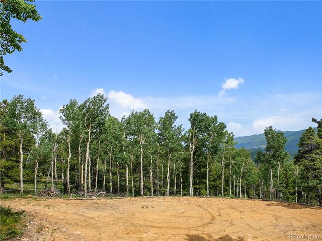 3665 Beaver Brook Canyon Rd, Evergreen, CO 80439