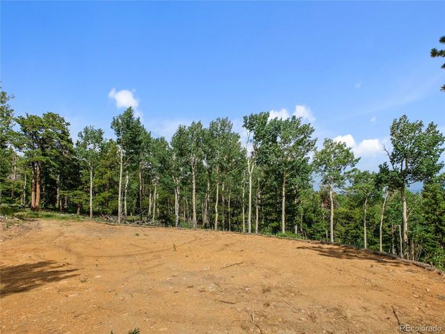 3665 Beaver Brook Canyon Rd, Evergreen, CO 80439