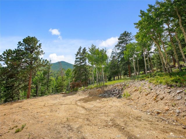 3665 Beaver Brook Canyon Rd, Evergreen, CO 80439