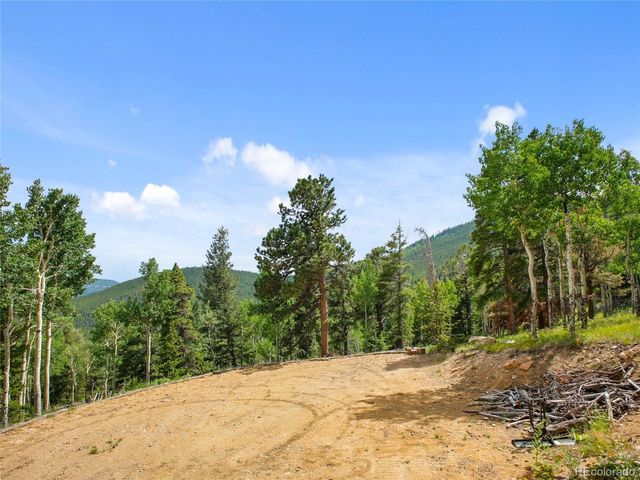 3665 Beaver Brook Canyon Rd, Evergreen, CO 80439