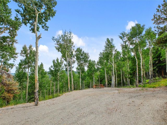 3665 Beaver Brook Canyon Rd, Evergreen, CO 80439