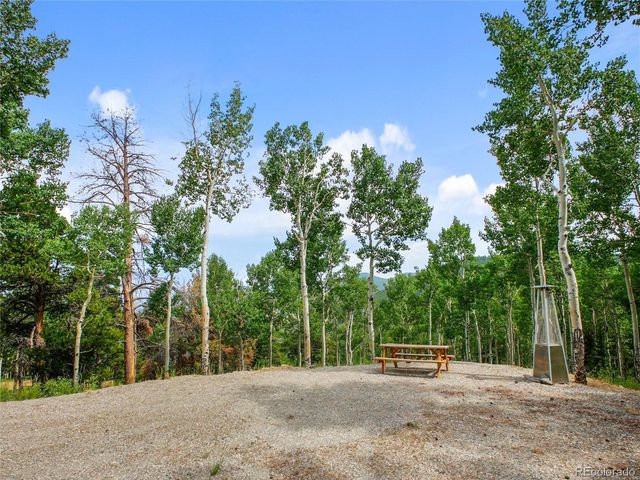 3665 Beaver Brook Canyon Rd, Evergreen, CO 80439
