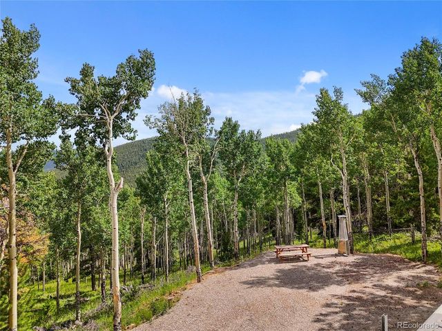 3665 Beaver Brook Canyon Rd, Evergreen, CO 80439