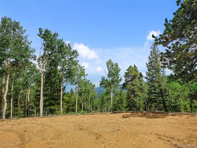 3665 Beaver Brook Canyon Rd, Evergreen, CO 80439