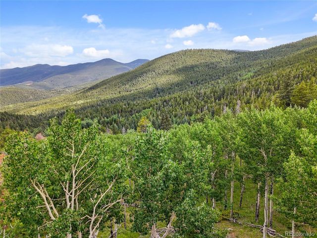 3665 Beaver Brook Canyon Rd, Evergreen, CO 80439