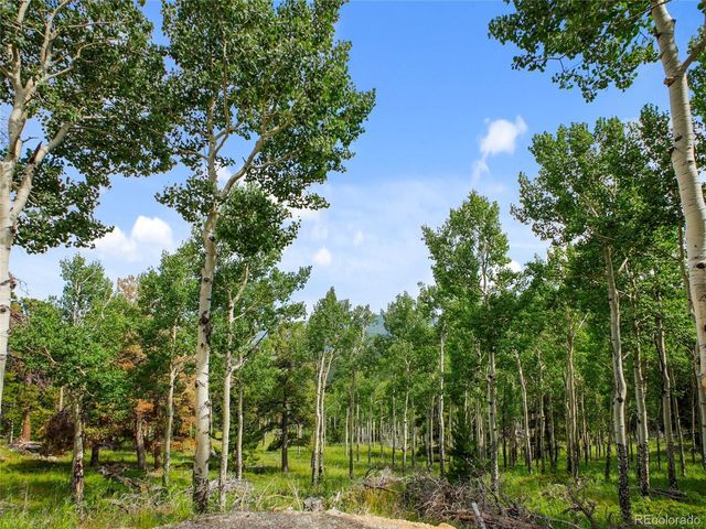 3665 Beaver Brook Canyon Rd, Evergreen, CO 80439