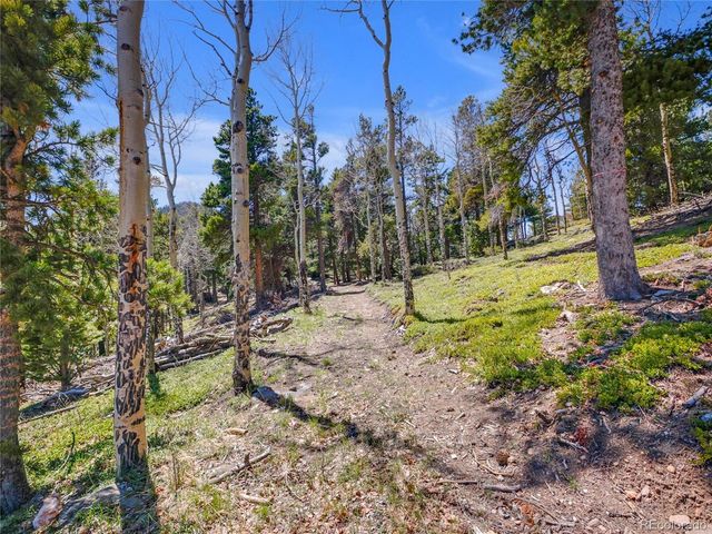 3665 Beaver Brook Canyon Rd, Evergreen, CO 80439
