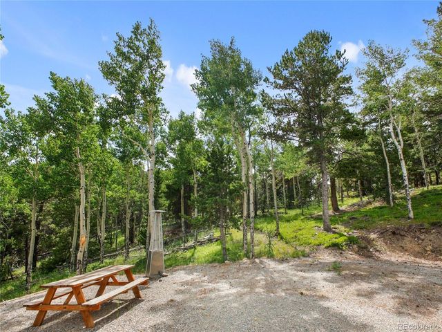 3665 Beaver Brook Canyon Rd, Evergreen, CO 80439