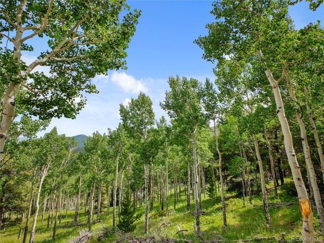 3665 Beaver Brook Canyon Rd, Evergreen, CO 80439
