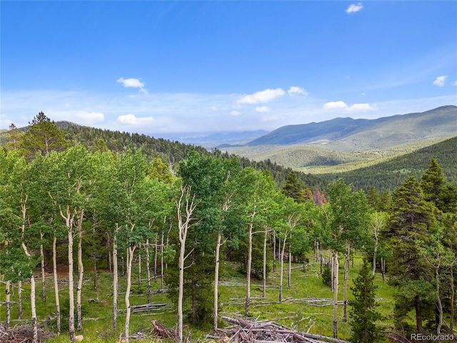 3665 Beaver Brook Canyon Rd, Evergreen, CO 80439