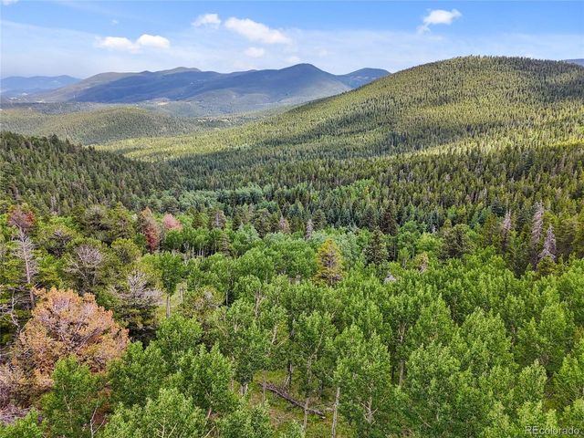 3665 Beaver Brook Canyon Rd, Evergreen, CO 80439