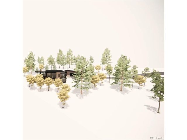 3665 Beaver Brook Canyon Rd, Evergreen, CO 80439