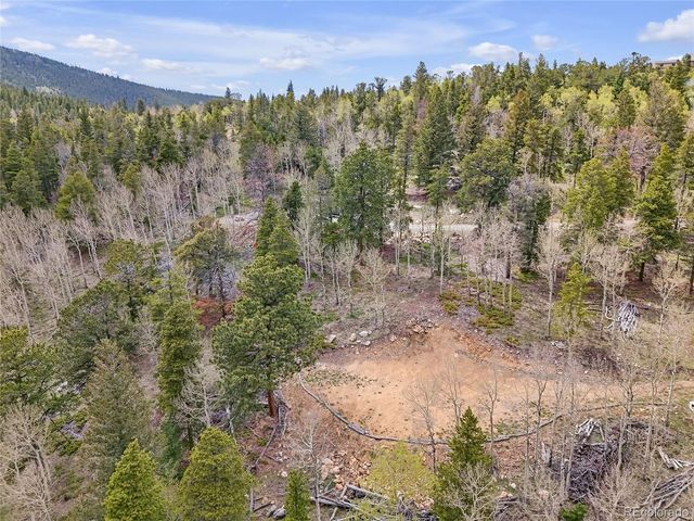 3665 Beaver Brook Canyon Rd, Evergreen, CO 80439