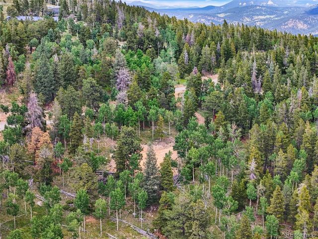 3665 Beaver Brook Canyon Rd, Evergreen, CO 80439