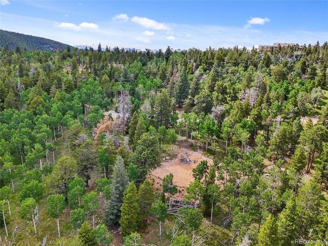 3665 Beaver Brook Canyon Rd, Evergreen, CO 80439