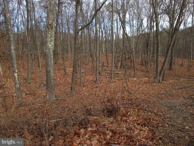 101 HOWDYSHELL HILL RD, Keyser, WV 26726