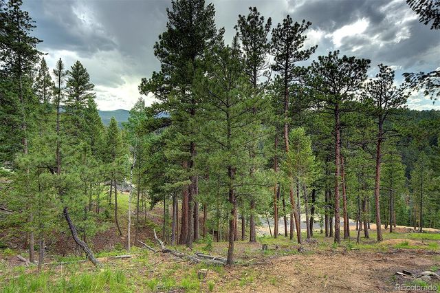 6874 Lynx Lair Road, Evergreen, CO 80439
