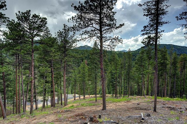 6874 Lynx Lair Road, Evergreen, CO 80439