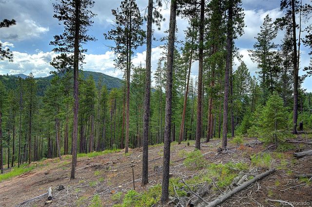 6874 Lynx Lair Road, Evergreen, CO 80439