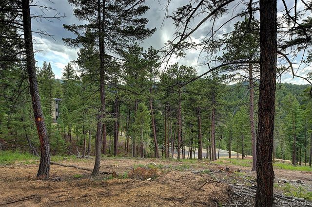 6874 Lynx Lair Road, Evergreen, CO 80439