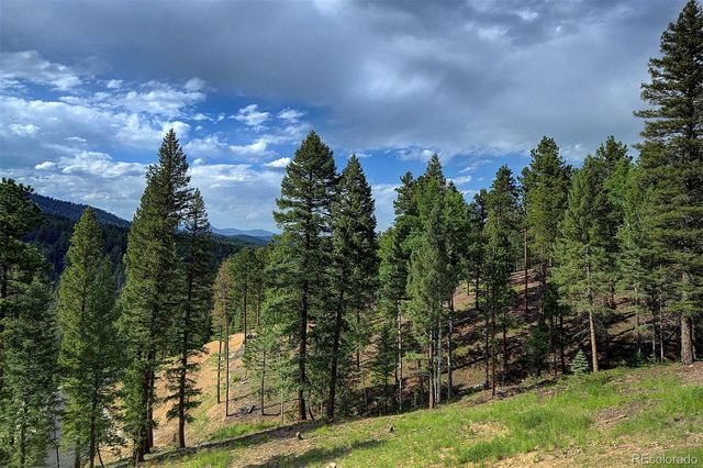 6874 Lynx Lair Road, Evergreen, CO 80439