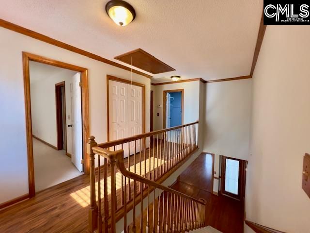 220 Walnut Lane, Columbia, SC 29212