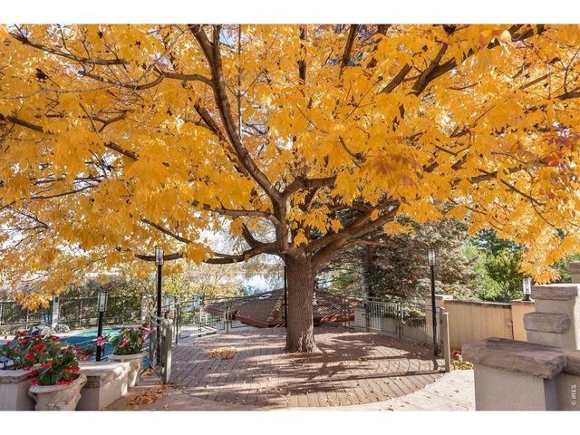 7009 Rozena Dr, Longmont, CO 80503