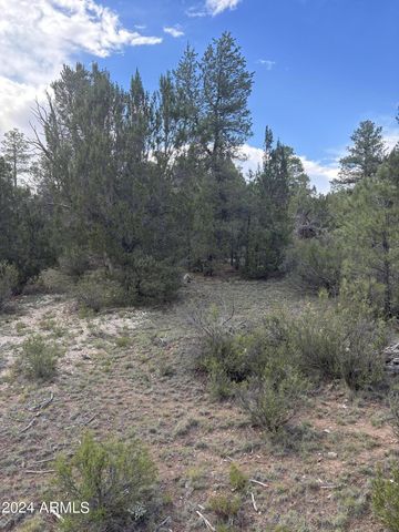 1988 Artists Draw Road 7, Heber, AZ 85928